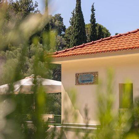 Marina Apartments Kokkari Extérieur photo