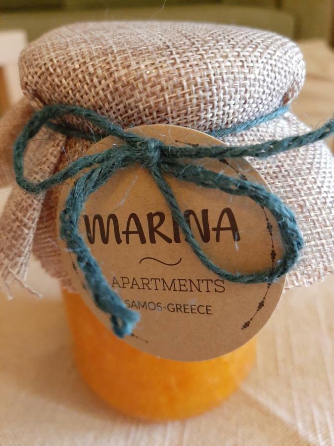 Marina Apartments Kokkari Extérieur photo