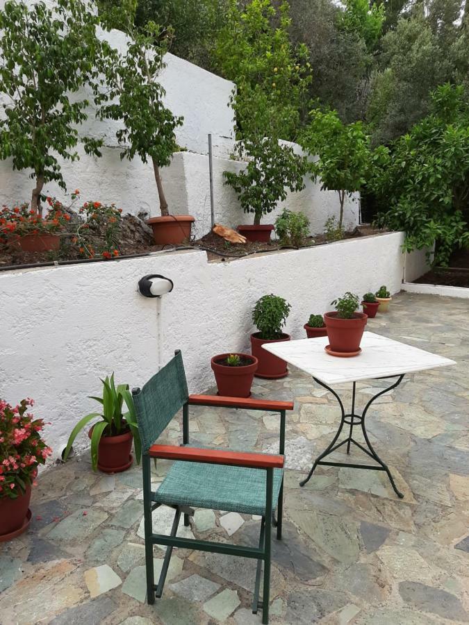 Marina Apartments Kokkari Extérieur photo