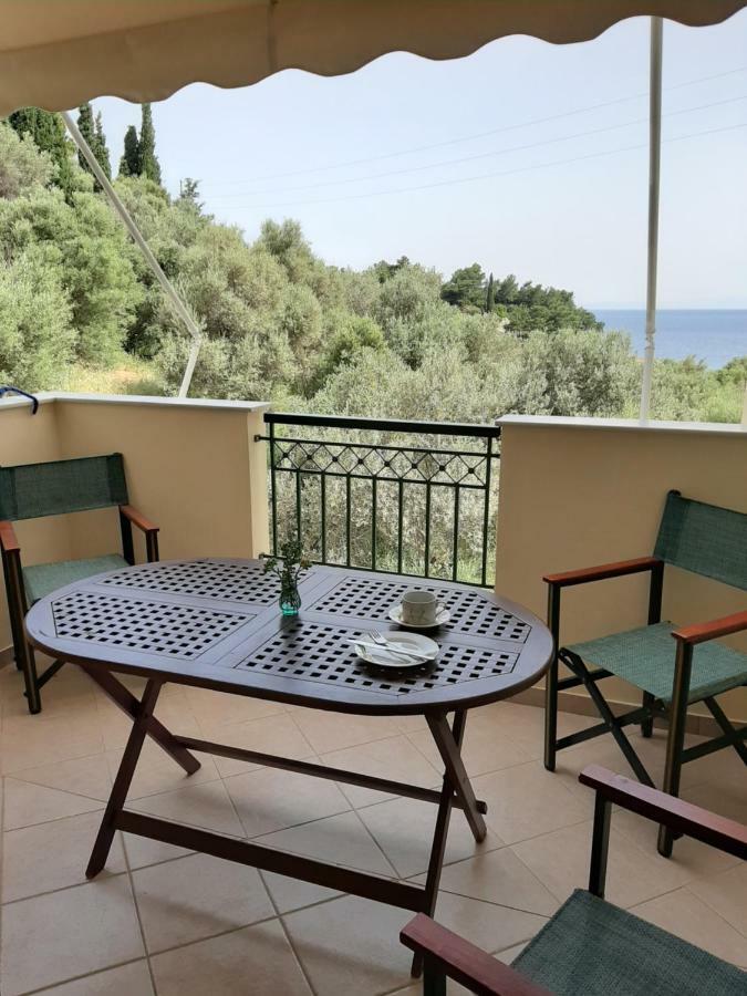 Marina Apartments Kokkari Extérieur photo